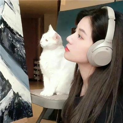 钢铁叛军